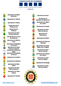 Ajuntaments que han aprovat la moció de suport de la Federació de Municipis de Catalunya Ajuntaments que han aprovat la moció de suport de la Federació de Municipis de Catalunya